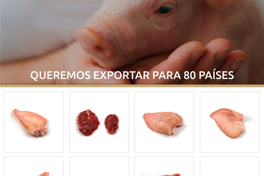 Maporal quer exportar para 80 países