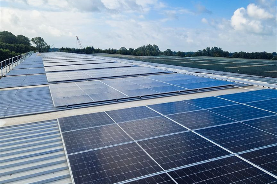 TemplarLuz fortalece compromisso ambiental com instalação de painéis fotovoltaicos na Irlanda