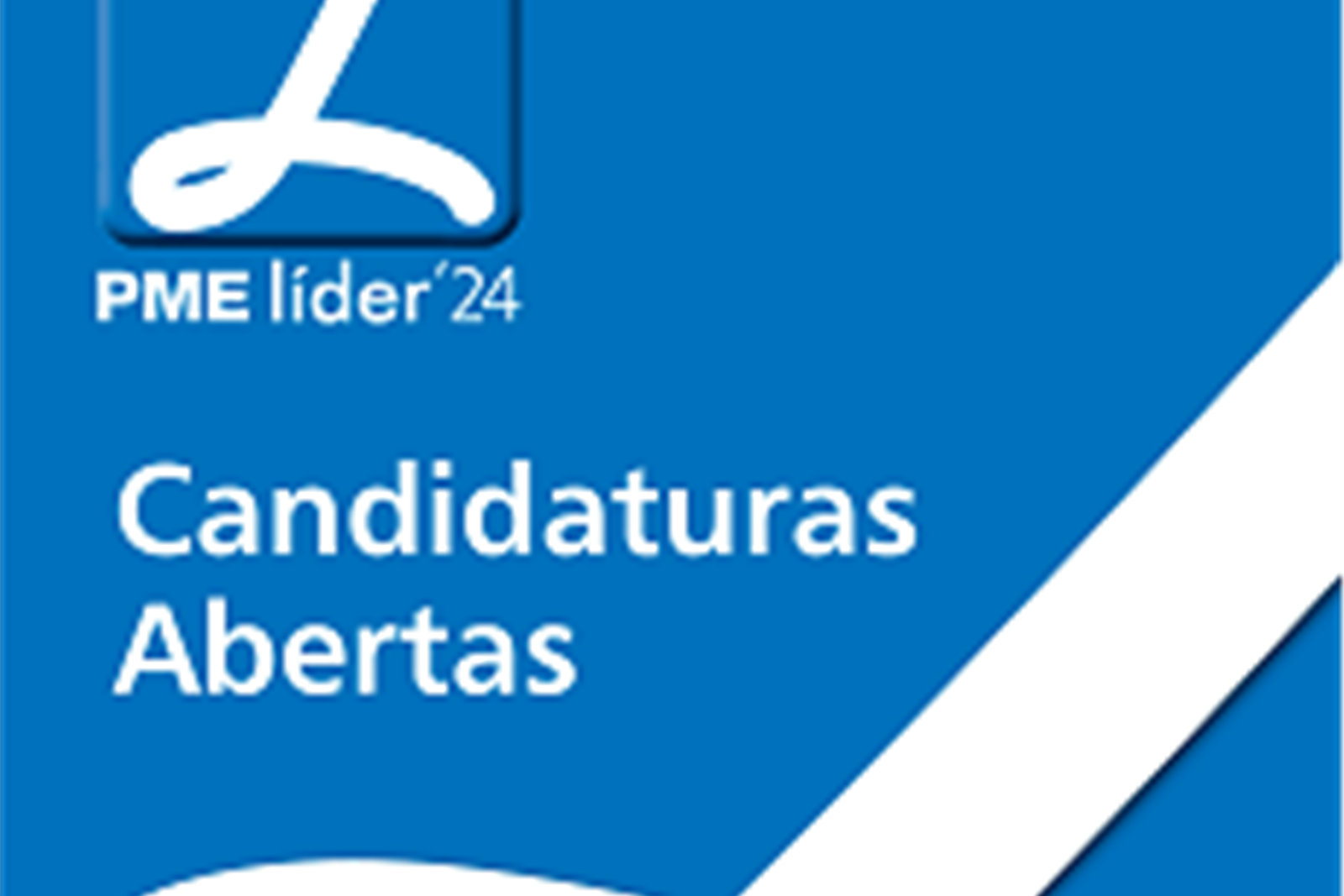 Candidaturas abertas ao estatuto PME Líder 2024