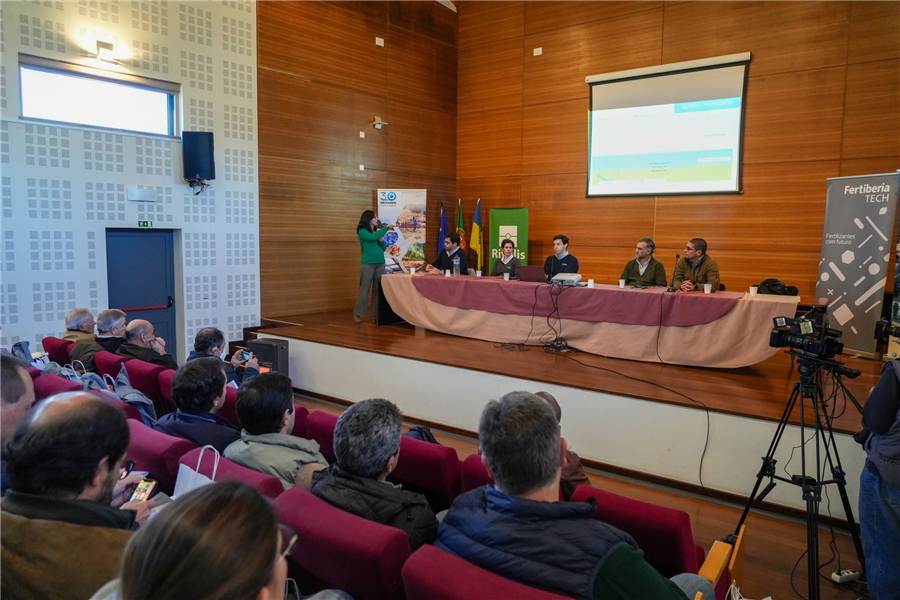 Consórcio apresenta resultados do ensaio de rega gota-a-gota na cultura do arroz