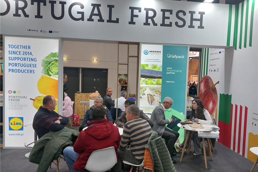 Magos na Fruit Logistica em Berlim