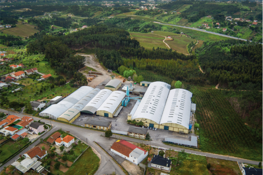 IRMADE celebra 50 anos