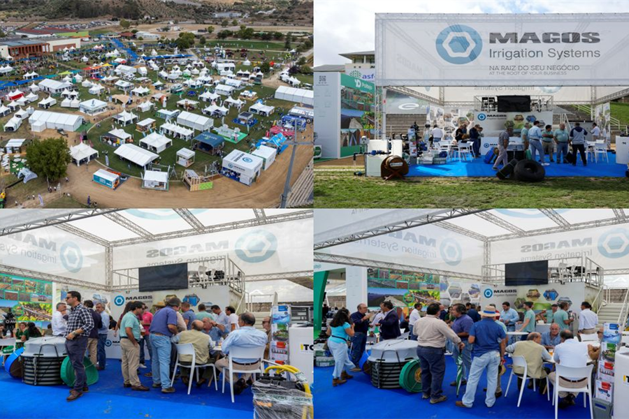 Magos SA e Rivulis apresentam ensaio de rega para tomate na AGROGLOBAL 2025