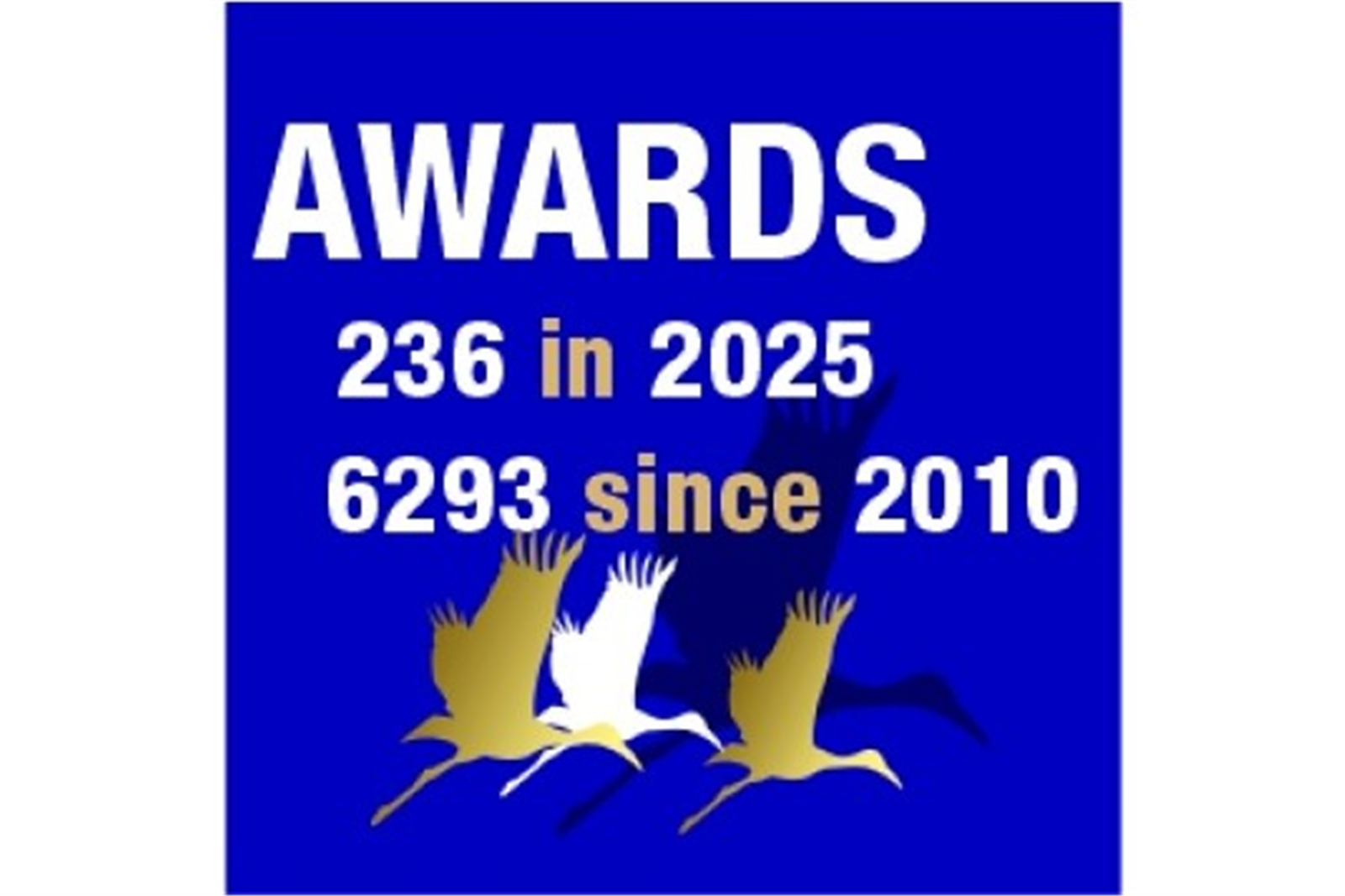 DFJ Vinhos conquista 236 prémios em 2025 e reforça reconhecimento internacional