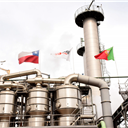 Sugal investe 49 milhões na eficiência energética das fábricas de Benavente e Azambuja