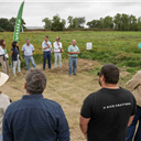 Rega gota-a-gota mostra-se solução promissora para a cultura do arroz e rotação de culturas