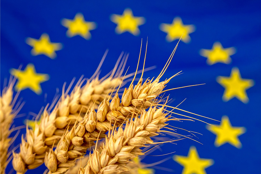 Acordo UE-Mercosul: Comissão propõe salvaguardas para reforçar proteção dos agricultores da UE