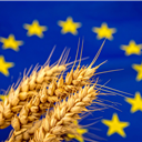 Acordo UE-Mercosul: Comissão propõe salvaguardas para reforçar proteção dos agricultores da UE