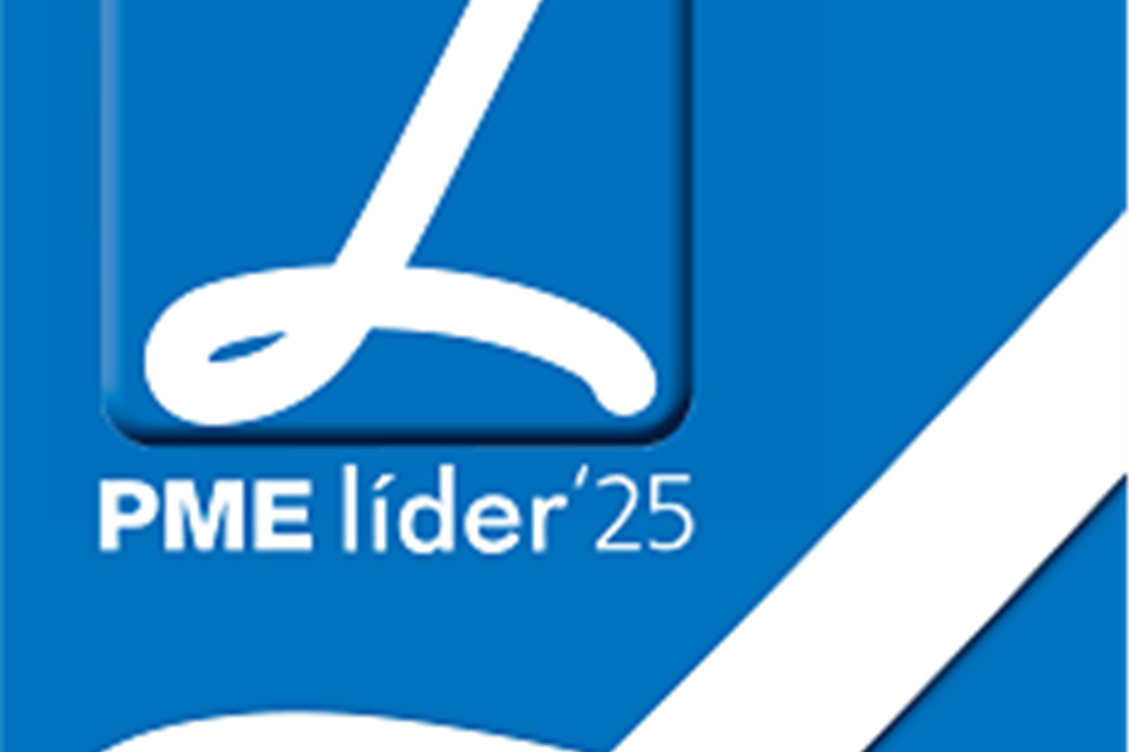 Candidaturas ao estatuto PME Líder 2025 decorrem até 28 de novembro