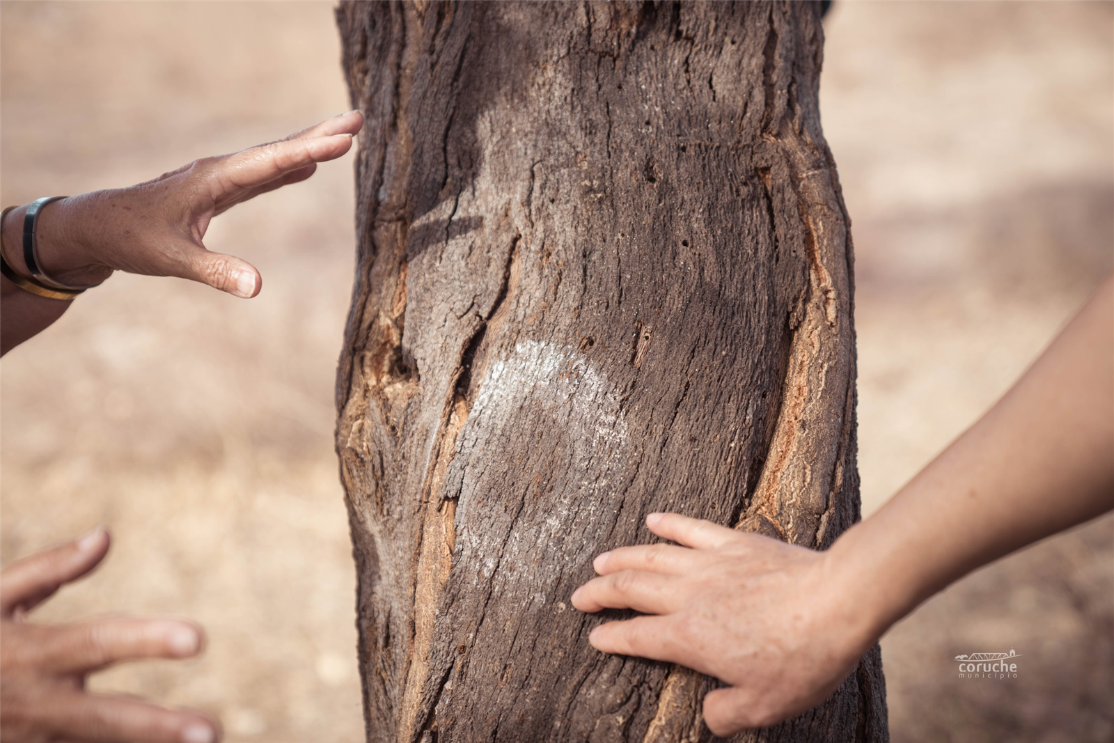 Coruche recebeu visita internacional no âmbito da Cork Science and Applications 2025