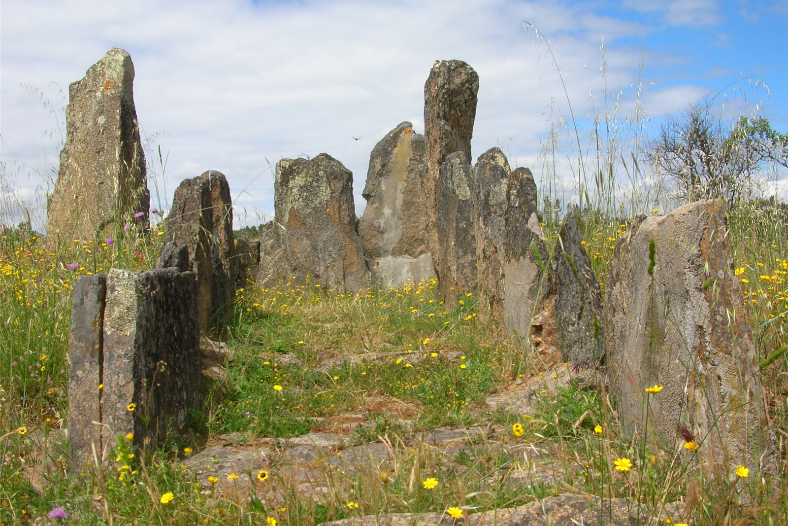 Mação acolhe dois grandes eventos internacionais dedicados à Arte Rupestre Pré-Histórica