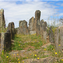 Mação acolhe dois grandes eventos internacionais dedicados à Arte Rupestre Pré-Histórica