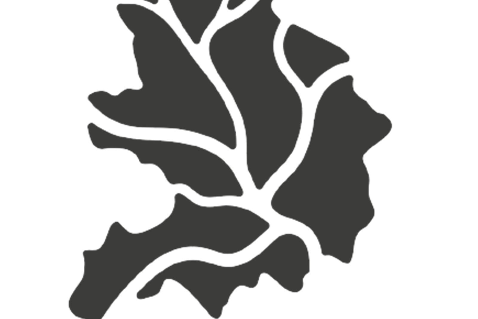 Município de Alcanena aprova Orçamento para 2026