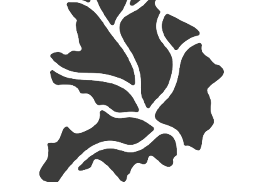 Município de Alcanena aprova Orçamento para 2026