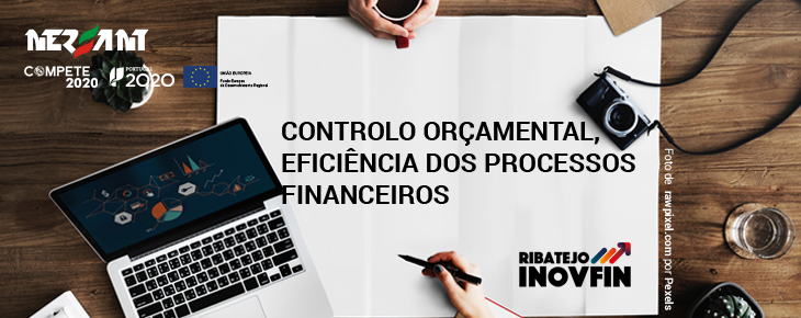 Controlo Orçamental, Eficiência dos Processos Financeiros