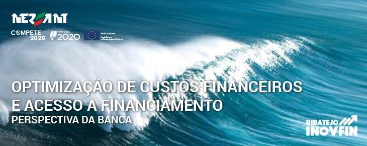 Optimização de custos financeiros e acesso a financiamento - Perspectiva da Banca