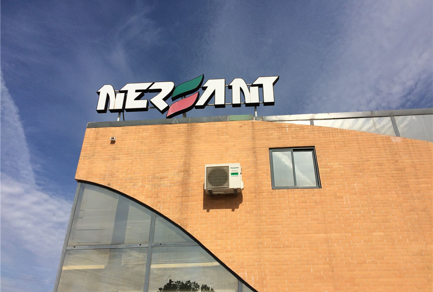 NERSANT regista crescimento de associados em 2024