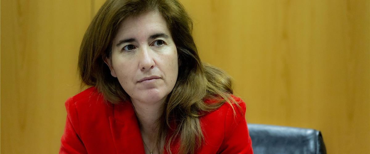 PRR: Governo vai lançar avisos para creches, apoio domiciliário e radar social 