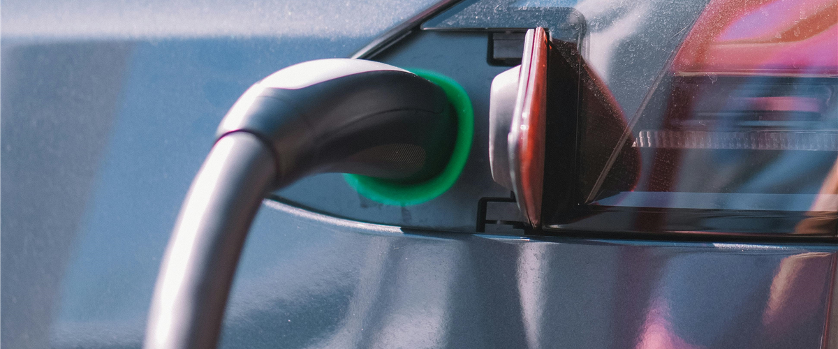 PPR financia 300 viaturas elétricas para IPSS