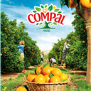 Compal é a segunda marca de eleição dos portugueses