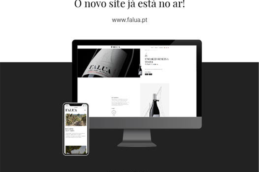 Falua com novo site