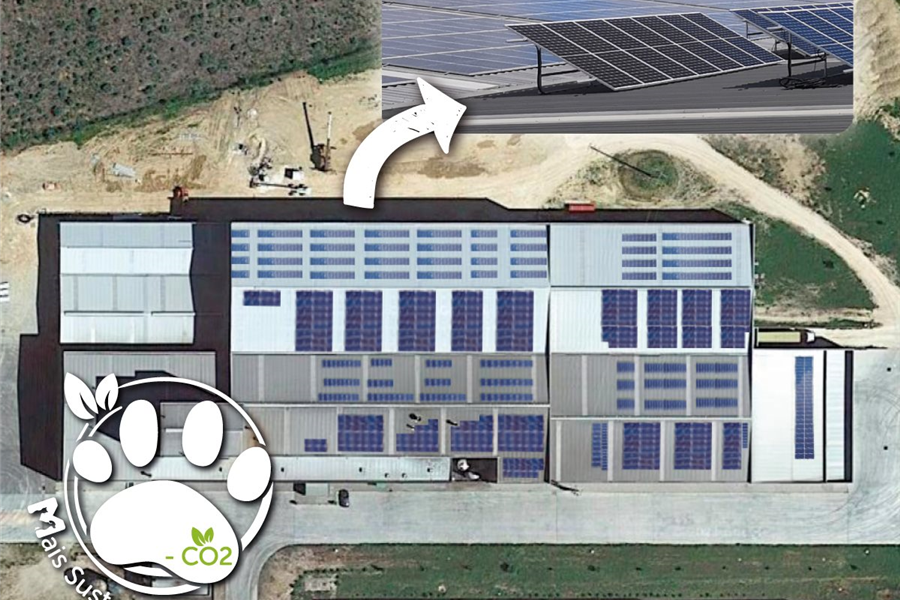 PetMaxi investe em sistema fotovoltaico