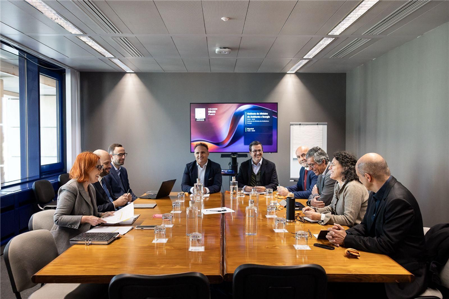 TreeEnergy participa em audiência no Ministério do Ambiente e Energia sobre Comunidades de Energia Renovável